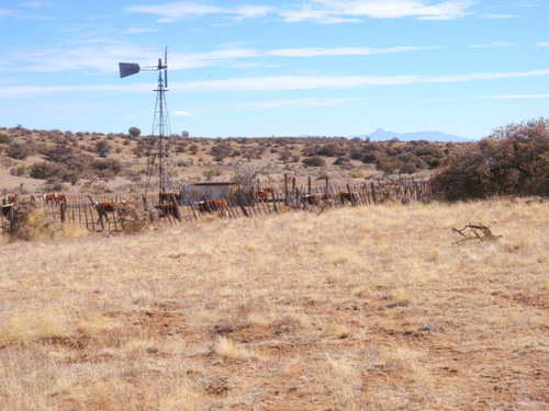 An open cattle corral with running water.